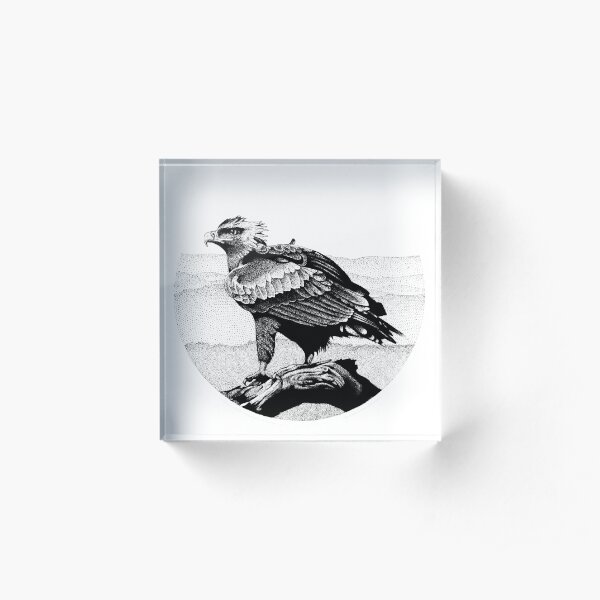 Wedge-tailed Eagle in Pen and Ink Acrylic Block
