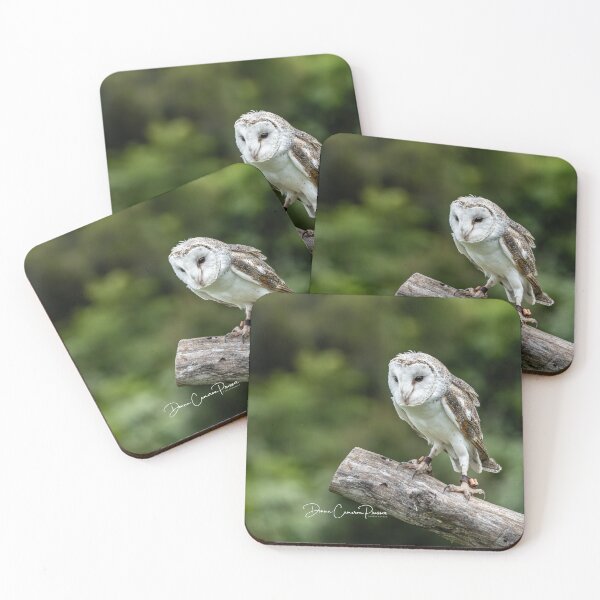 Item preview, Breathtaking Barn Owl designed and sold by Donna Cameron-Prosser.