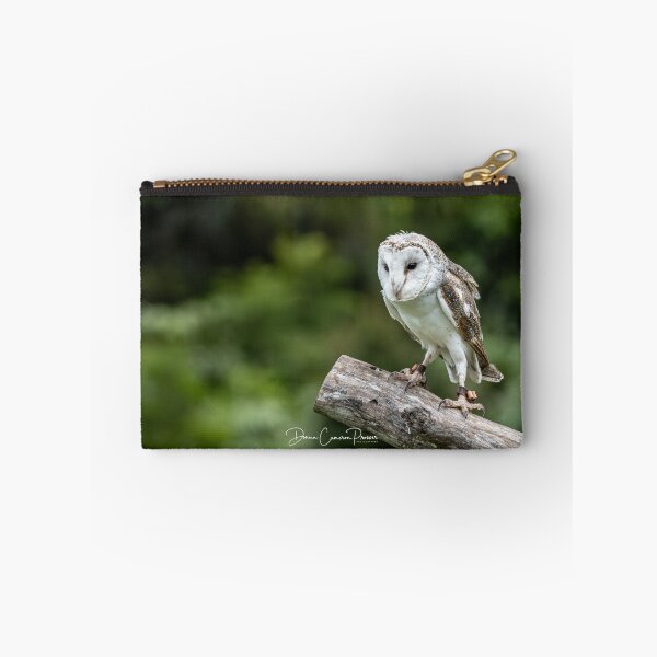 Item preview, Breathtaking Barn Owl designed and sold by Donna Cameron-Prosser.