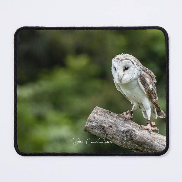 Item preview, Breathtaking Barn Owl designed and sold by Donna Cameron-Prosser.