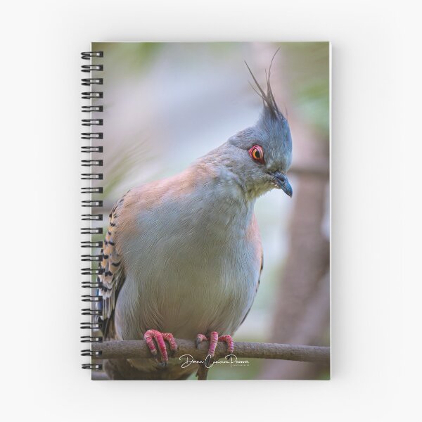 Item preview, Not Impressed! designed and sold by Donna Cameron-Prosser.