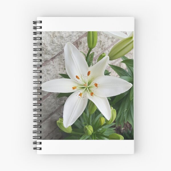 Item preview, White lily designed and sold by Ashoolz.