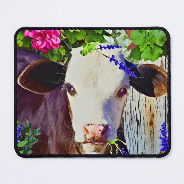 Item preview, CUTE COW, FARM COW, INTROUBLE NOW, A CUTE VINTAGE DESIGN FOR KIDS AND ADULT TEES AND STICKERS designed and sold by Barbara Jean Photo Art And Design.