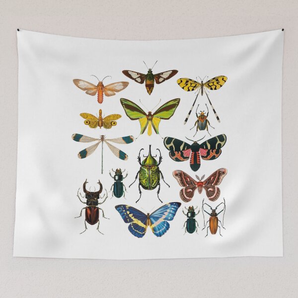 Item preview, Moth Luna Moth Lunar Moth Insects Bugs Celestial designed and sold by InnaMGraphic.