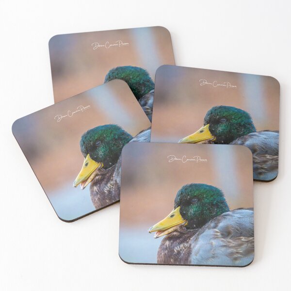Item preview, Mr Mallard designed and sold by Donna Cameron-Prosser.
