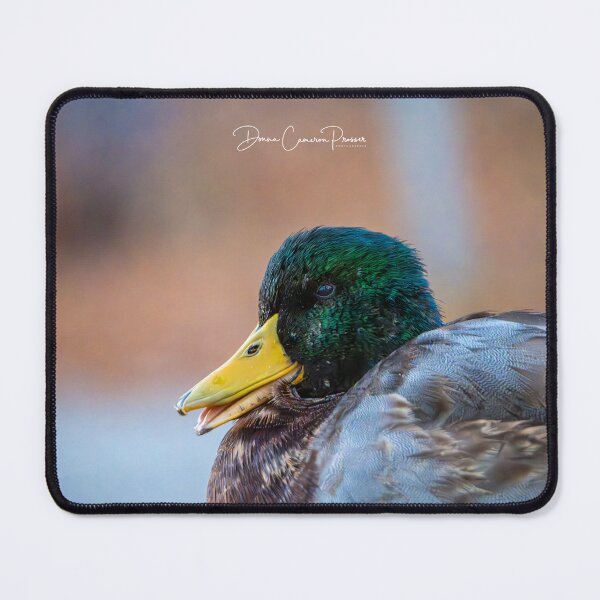 Item preview, Mr Mallard designed and sold by Donna Cameron-Prosser.
