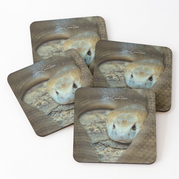 Item preview, Tantalizing Taipan designed and sold by Donna Cameron-Prosser.