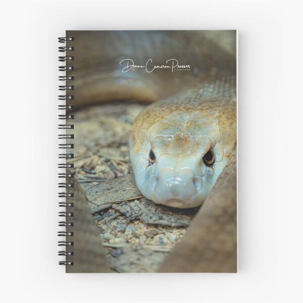 Item preview, Tantalizing Taipan designed and sold by Donna Cameron-Prosser.
