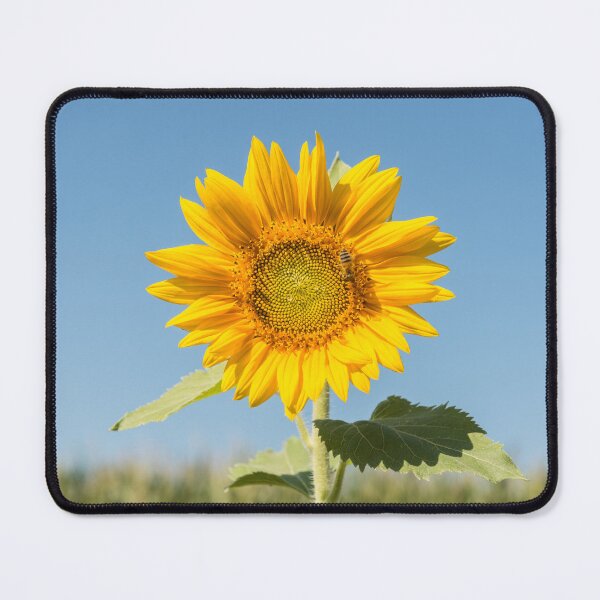 Item preview, Yellow sunflower with honey bee designed and sold by StohlerPhotos.