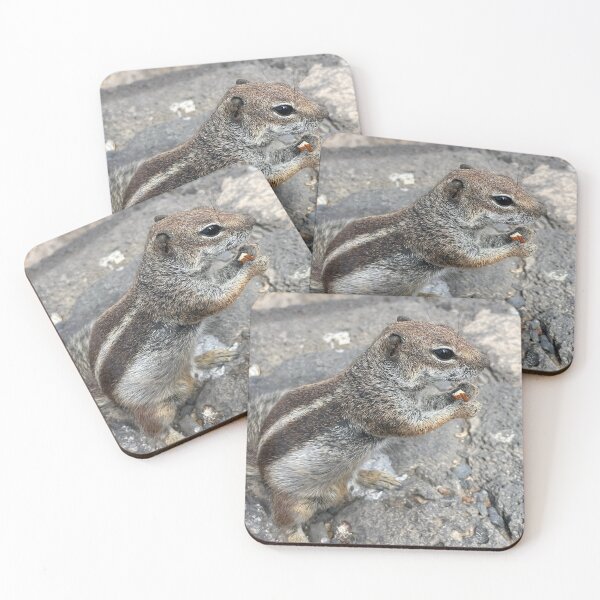 Item preview, Chipmunk in Fuerteventura island Spain designed and sold by Artdianarada.