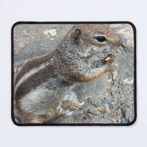 Item preview, Chipmunk in Fuerteventura island Spain designed and sold by Artdianarada.
