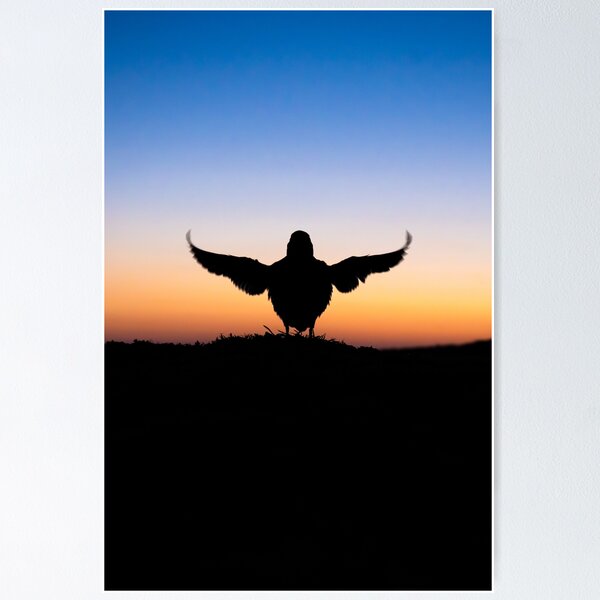 Item preview, Puffin sunrise designed and sold by Kay Roxby.