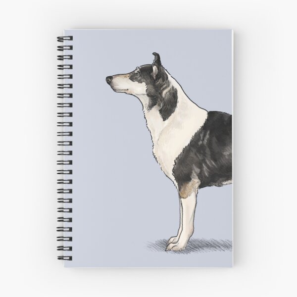 Item preview, The Smooth Collie - Tri Colour designed and sold by Elspeth Rose Design.