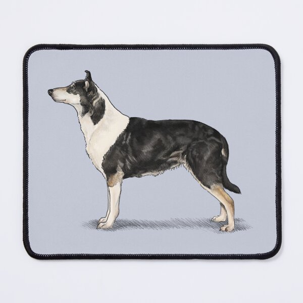 Item preview, The Smooth Collie - Tri Colour designed and sold by Elspeth Rose Design.