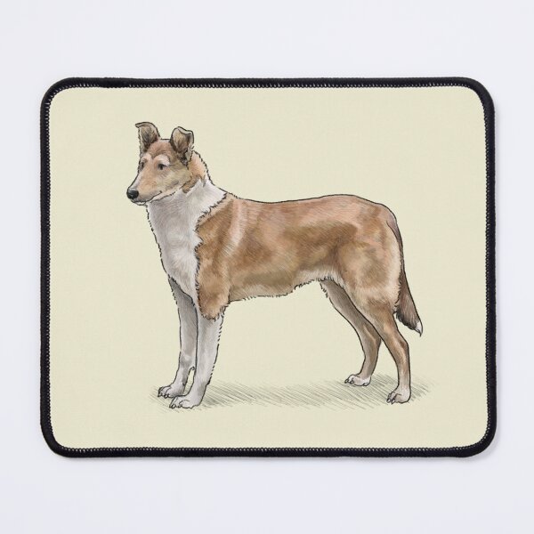 Item preview, The Smooth Collie - Sable designed and sold by Elspeth Rose Design.