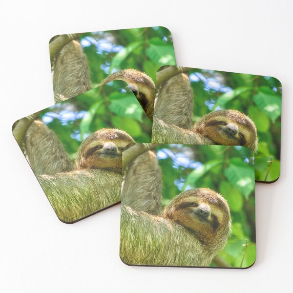 Item preview, The Sloth designed and sold by Kathy Weaver.