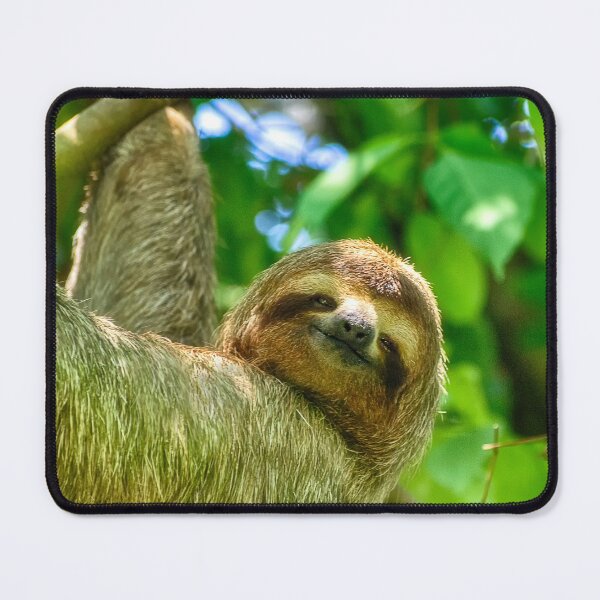 Item preview, The Sloth designed and sold by Kathy Weaver.