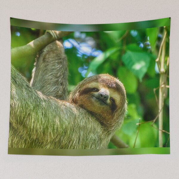 Item preview, The Sloth designed and sold by Kathy Weaver.
