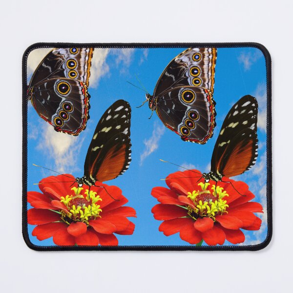 Item preview, 2 Butterflies Heliconius hecate and 2 Blue morpho butterfly designed and sold by Peter Etchells.