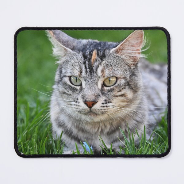 Item preview, Gray cat with spots, lying on the grass designed and sold by bagiolita.