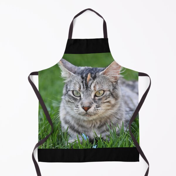 Item preview, Gray cat with spots, lying on the grass designed and sold by bagiolita.