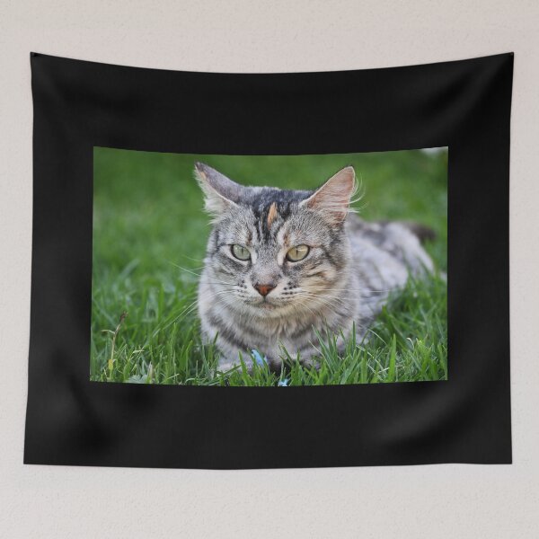 Item preview, Gray cat with spots, lying on the grass designed and sold by bagiolita.