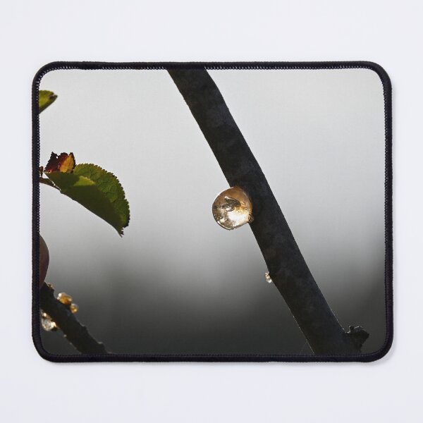 Item preview, fruit tree resin designed and sold by bagiolita.