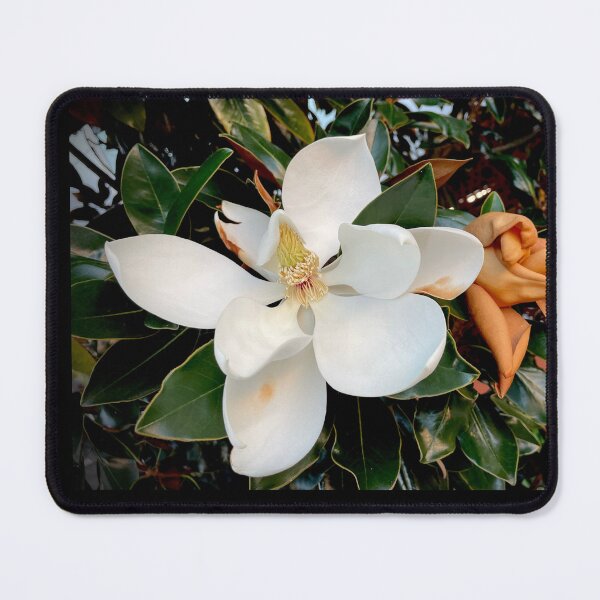Item preview, Fine Flowers  designed and sold by KazM.