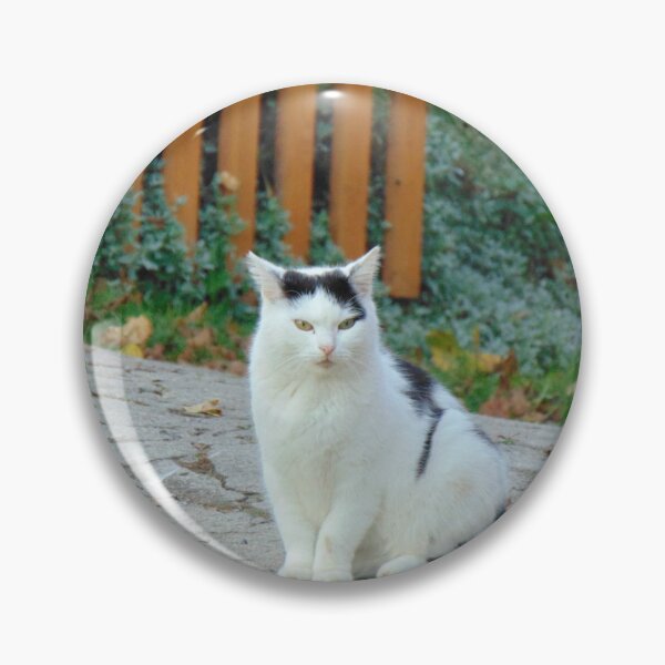 Item preview, White and black cat designed and sold by lusiakotowska.