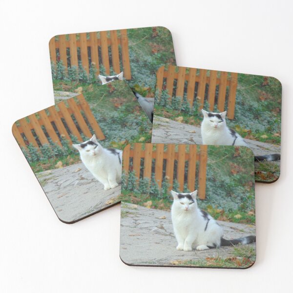 Item preview, White and black cat designed and sold by lusiakotowska.