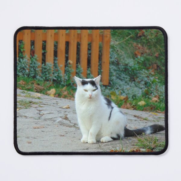 Item preview, White and black cat designed and sold by lusiakotowska.