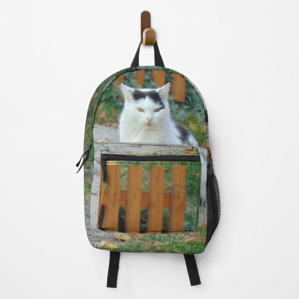 Item preview, White and black cat designed and sold by lusiakotowska.