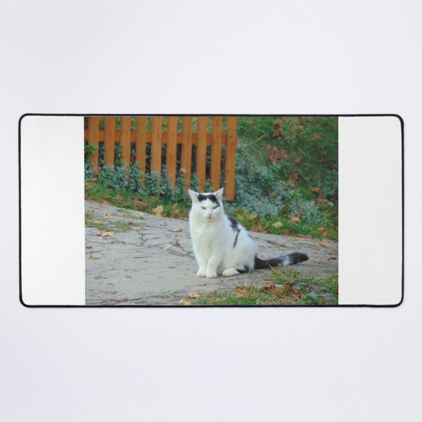 Item preview, White and black cat designed and sold by lusiakotowska.