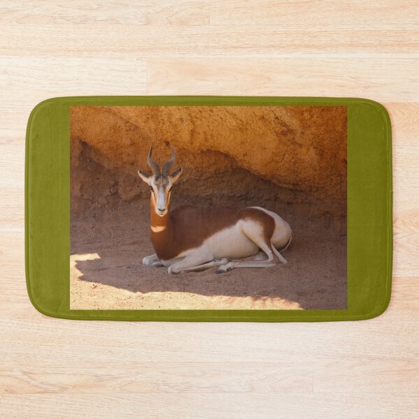 Item preview, Dama Gazelle In Shade Valencia Spain designed and sold by eddiebarronshop.