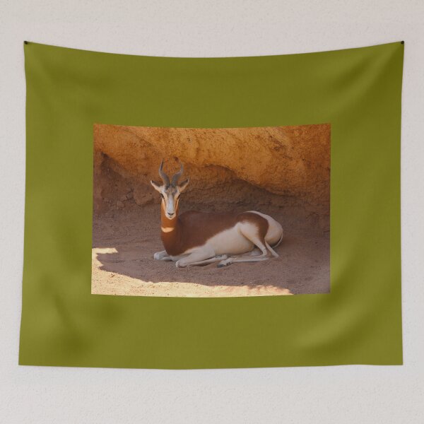 Item preview, Dama Gazelle In Shade Valencia Spain designed and sold by eddiebarronshop.