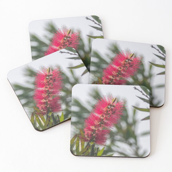 Item preview, Upright Bottlebrush Bloom designed and sold by Debra Martz.