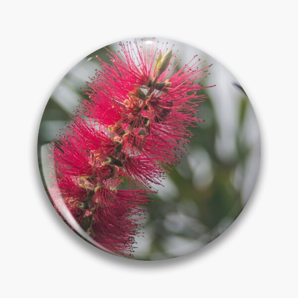 Item preview, Upright Bottlebrush Bloom designed and sold by Debra Martz.