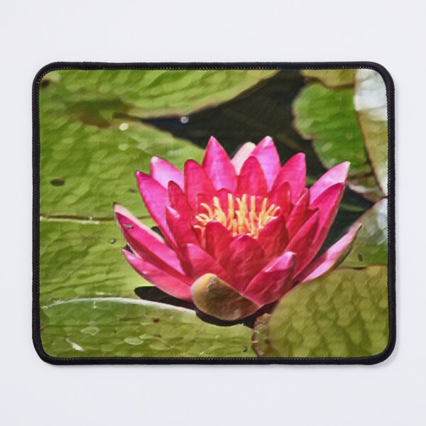 Item preview, Pink Water Lily In Slumber designed and sold by Fearless-Fox.