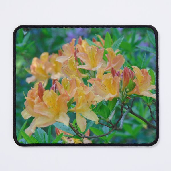 Item preview, Spring flowers designed and sold by lusiakotowska.