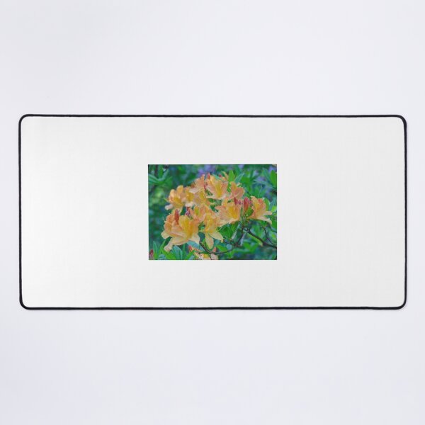 Item preview, Spring flowers designed and sold by lusiakotowska.