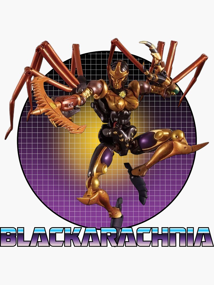 Decepticon discount Blackarachnia Transformers