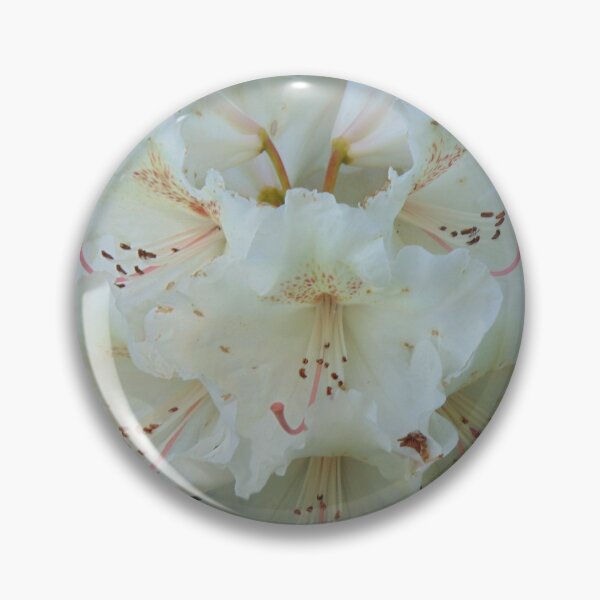 Item preview, White rhododendron blooming designed and sold by lusiakotowska.