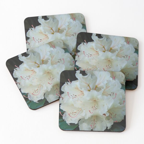 Item preview, White rhododendron blooming designed and sold by lusiakotowska.