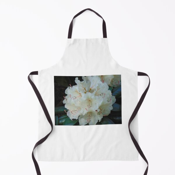 Item preview, White rhododendron blooming designed and sold by lusiakotowska.