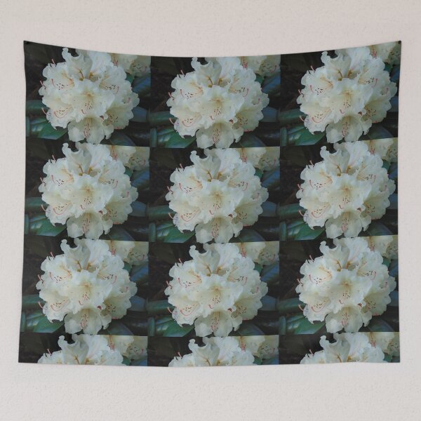 Item preview, White rhododendron blooming designed and sold by lusiakotowska.