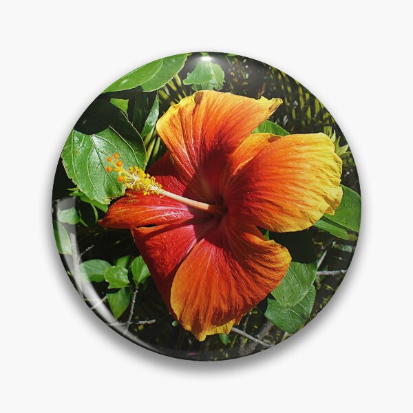 Item preview, Rarotongan Hibiscus designed and sold by KaSaPo.