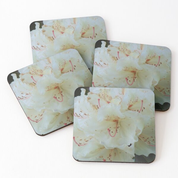 Item preview, White rhododendron blooming in the Garden designed and sold by lusiakotowska.