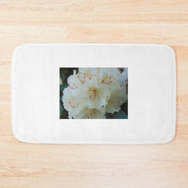 Item preview, White rhododendron blooming in the Garden designed and sold by lusiakotowska.