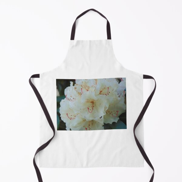 Item preview, White rhododendron blooming in the Garden designed and sold by lusiakotowska.