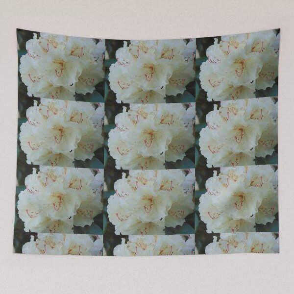 Item preview, White rhododendron blooming in the Garden designed and sold by lusiakotowska.